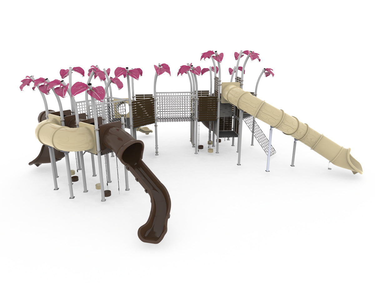 Mangrullo Lapacho
