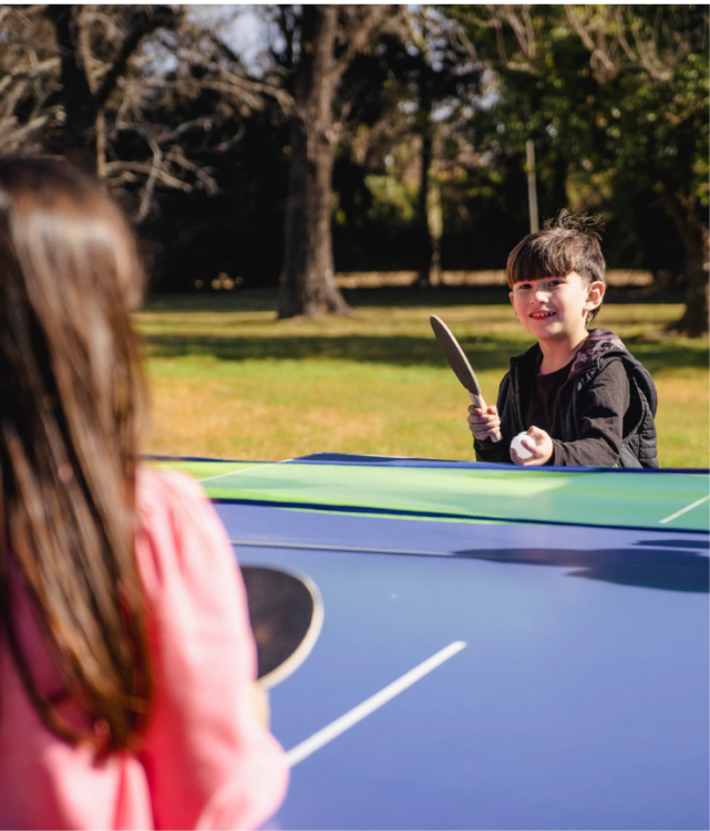 Mesa Ping Pong Con Paletas